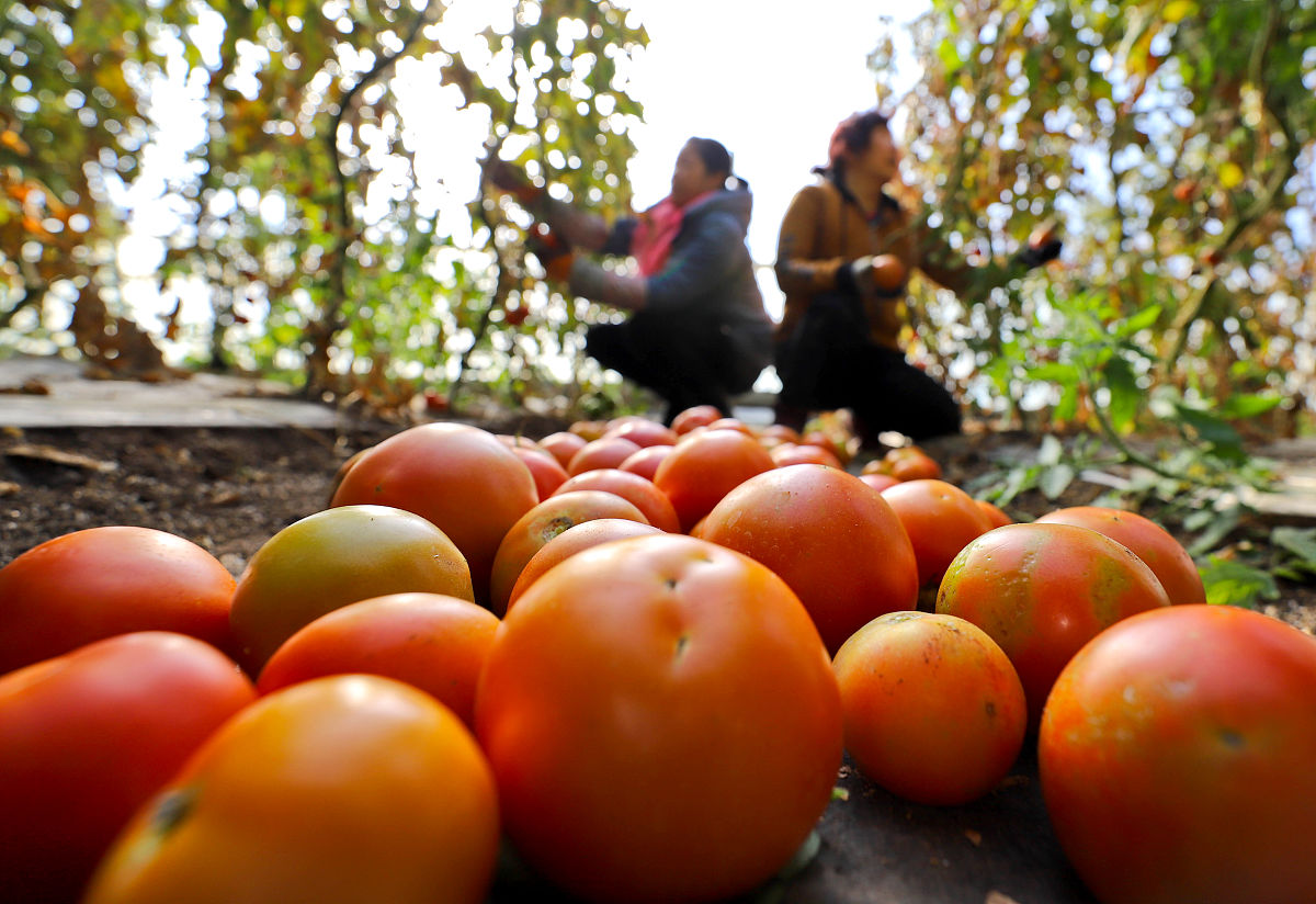 初中毕业上哪个技校好呢