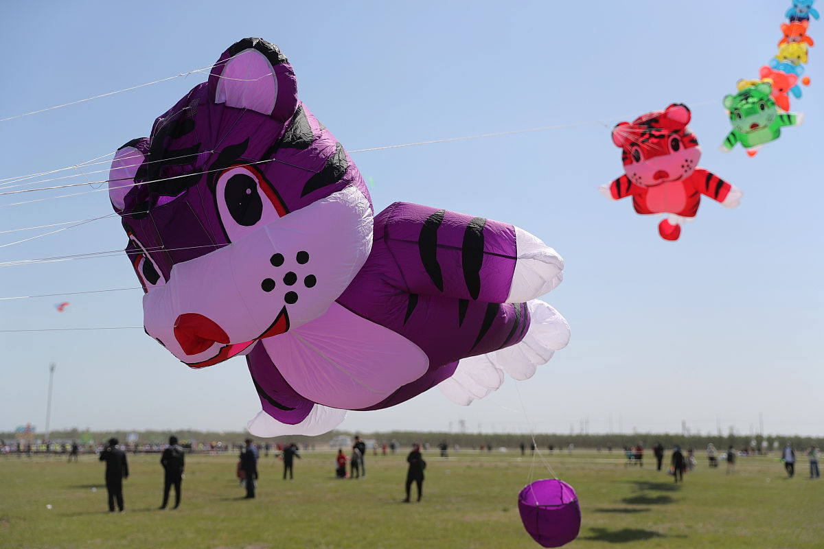 洞口县第一职业中学2021年招生条件 - 培养未来人才的重要基地