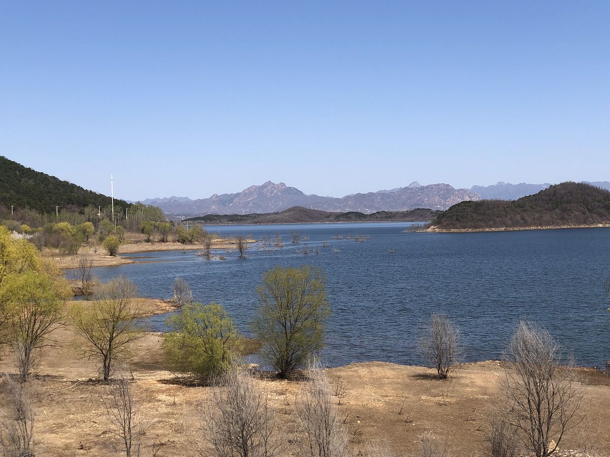 东沼是什么意思_词语东沼的意思