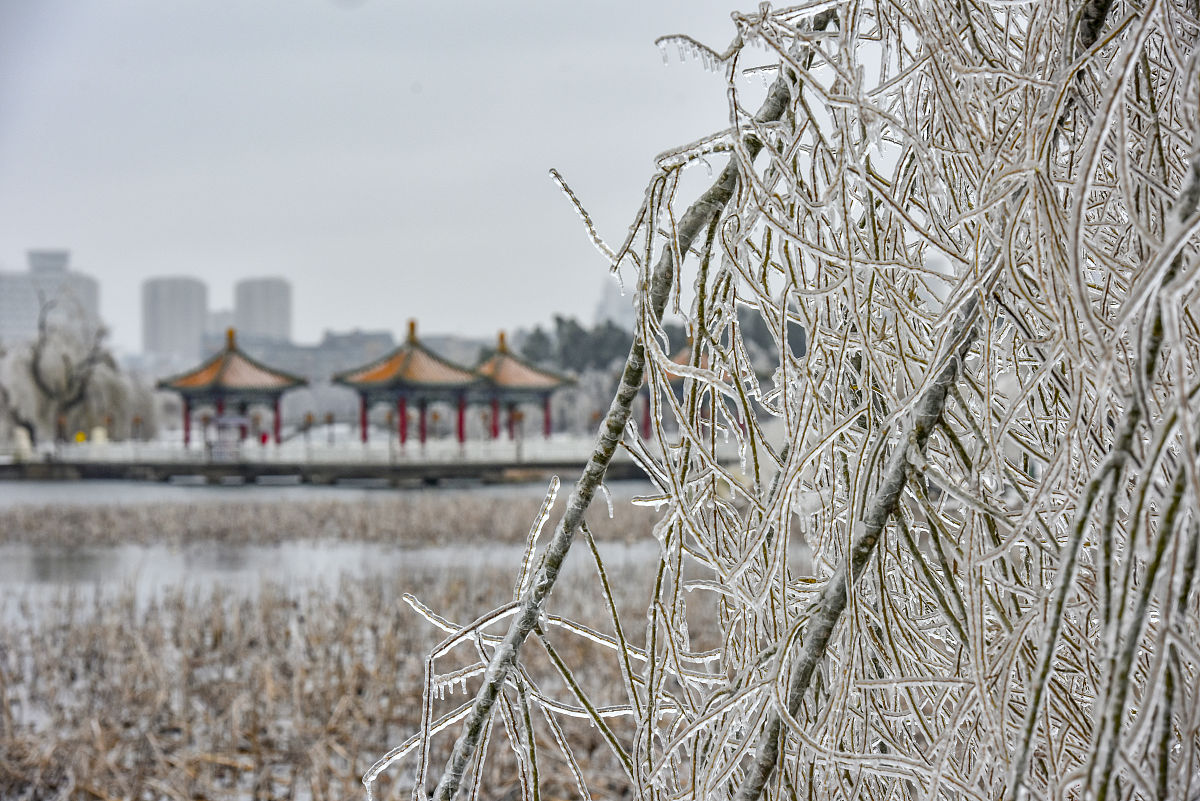 2020年11月20日,一场冻雨加大雪之后,长春整个城市变成水晶世界,南湖
