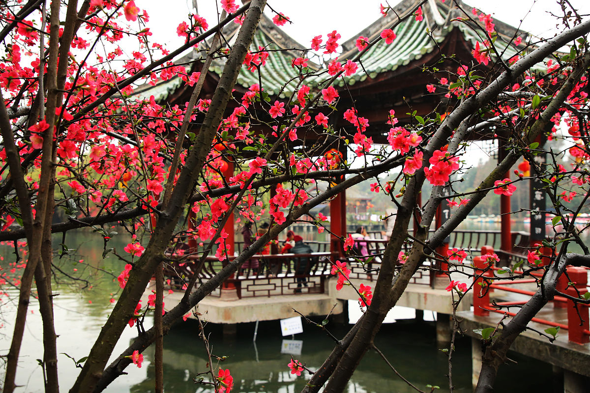 双流职业技术学校地址及乘车路线 - 如何到达双流职业技术学校