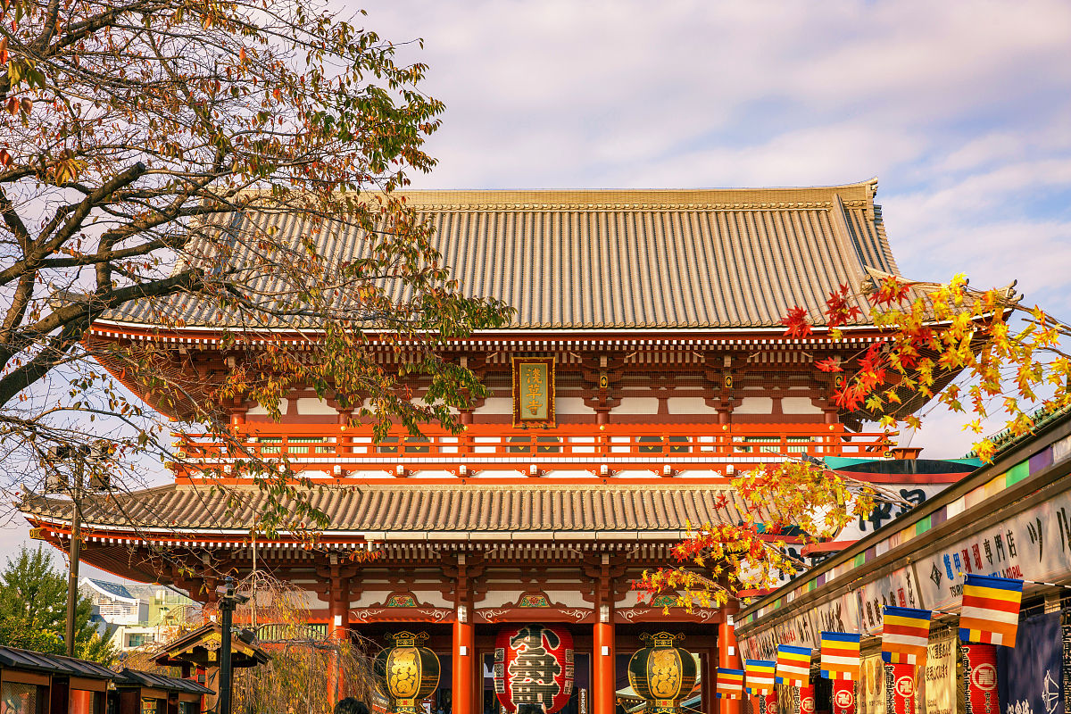 京都寺庙之旅：龙安寺、金阁寺、建仁寺、东寺、清水寺