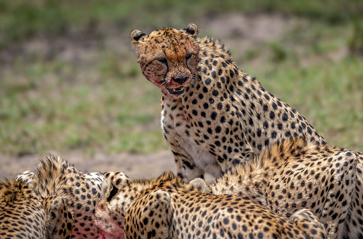 大学生劳动周感悟：锻炼意志，珍惜生活，理解社会