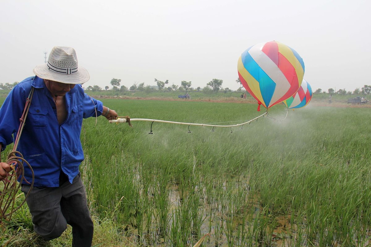 绵阳农业学校2022年招生简章