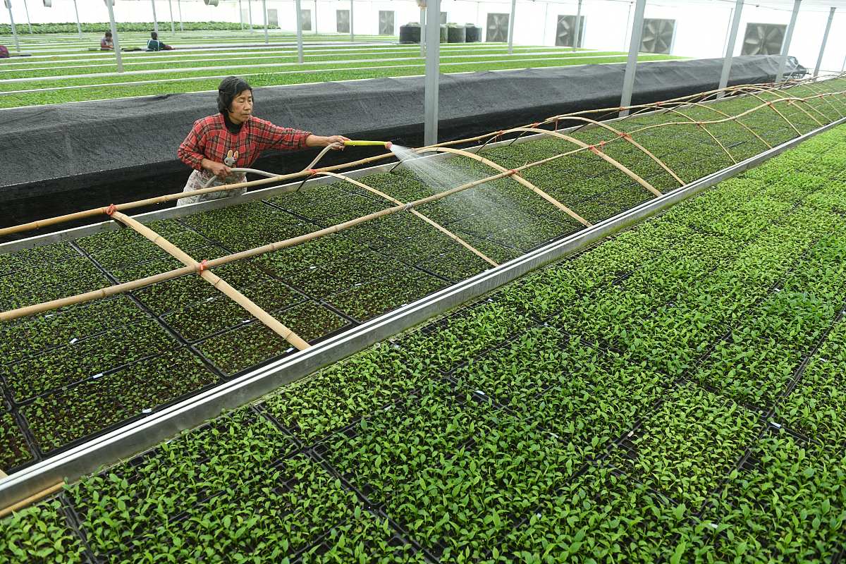 黑龙江农业职业技术学院园林技术专业优势怎么样发展前景好不好呢