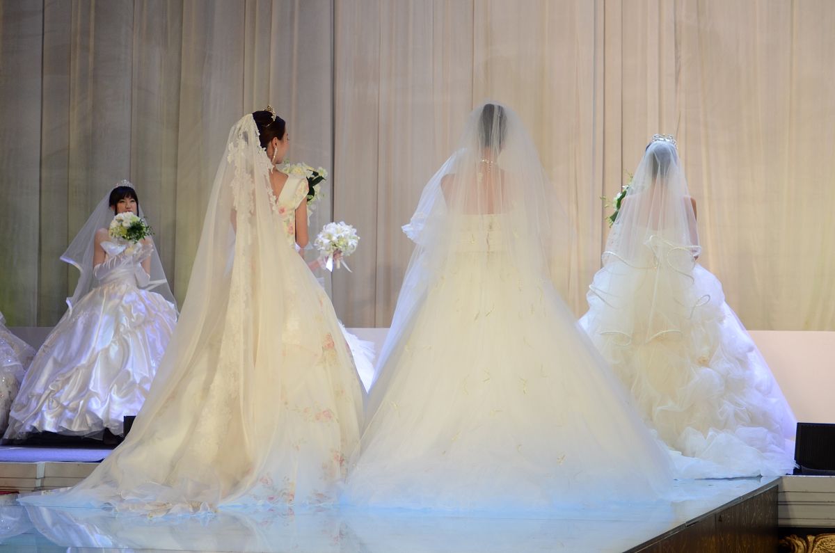 人人都心疼我被毁了订婚宴抢了未婚夫而我只在乎他俩谁能赔我高定衣服钱？为了抢走我的未婚夫绿茶故意在订婚宴上用红酒泼上我的订婚礼服。人人都心疼我被毁了订婚宴抢了未婚夫而我只在乎绿茶和渣男谁能赔我买衣服的一百万？1央央不是故意的你就原谅她这一回。我一听这熟悉的话气笑了。央央她不是这个意思你就原谅她这一回。央央从小就没有父亲你让让她吧。央央没有你坚强你受点委屈。我环视四周这是盖亚酒店最大的一个宴会厅。里面