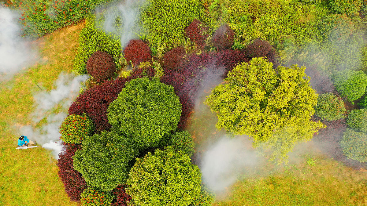 台湾省3级区划代码