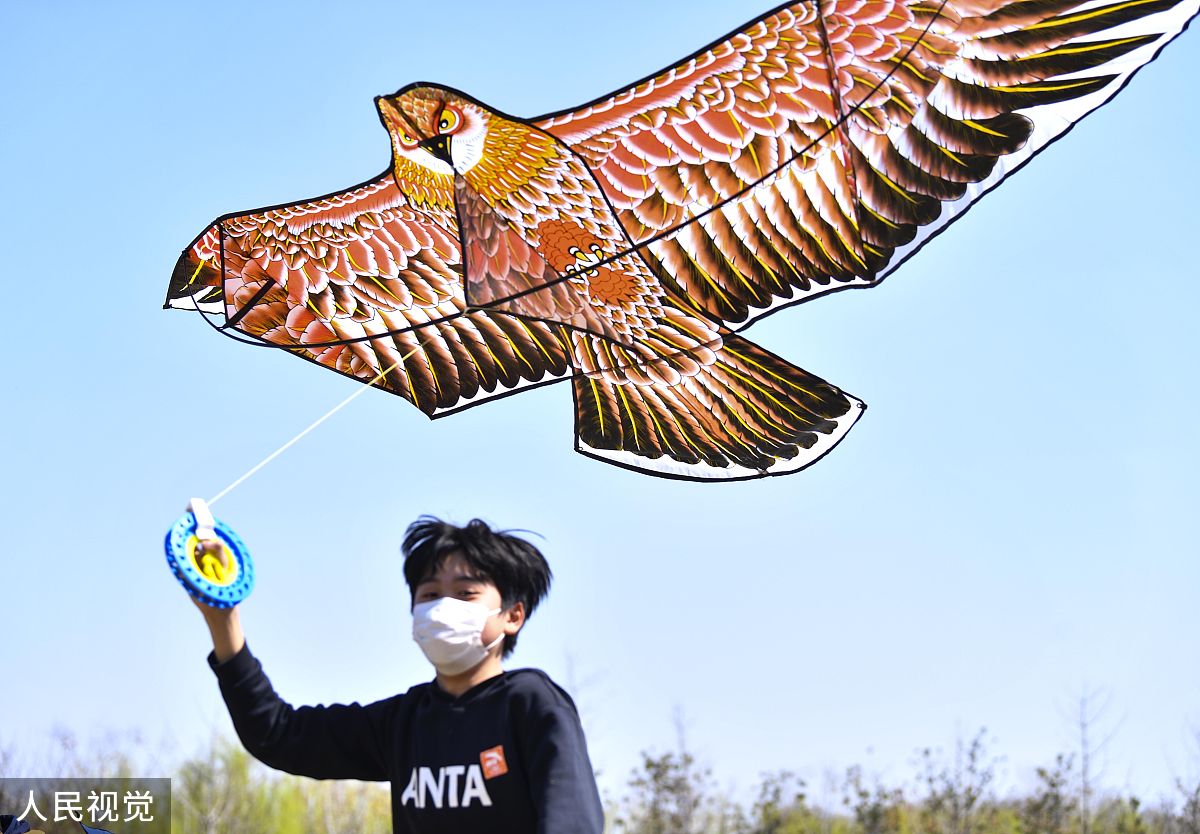 2020年3月15日,安徽省亳州市的青少年在市区陵西湖岸边放风筝.