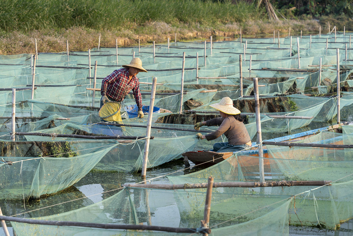 华澜集团高质量发展征文活动邀您参与