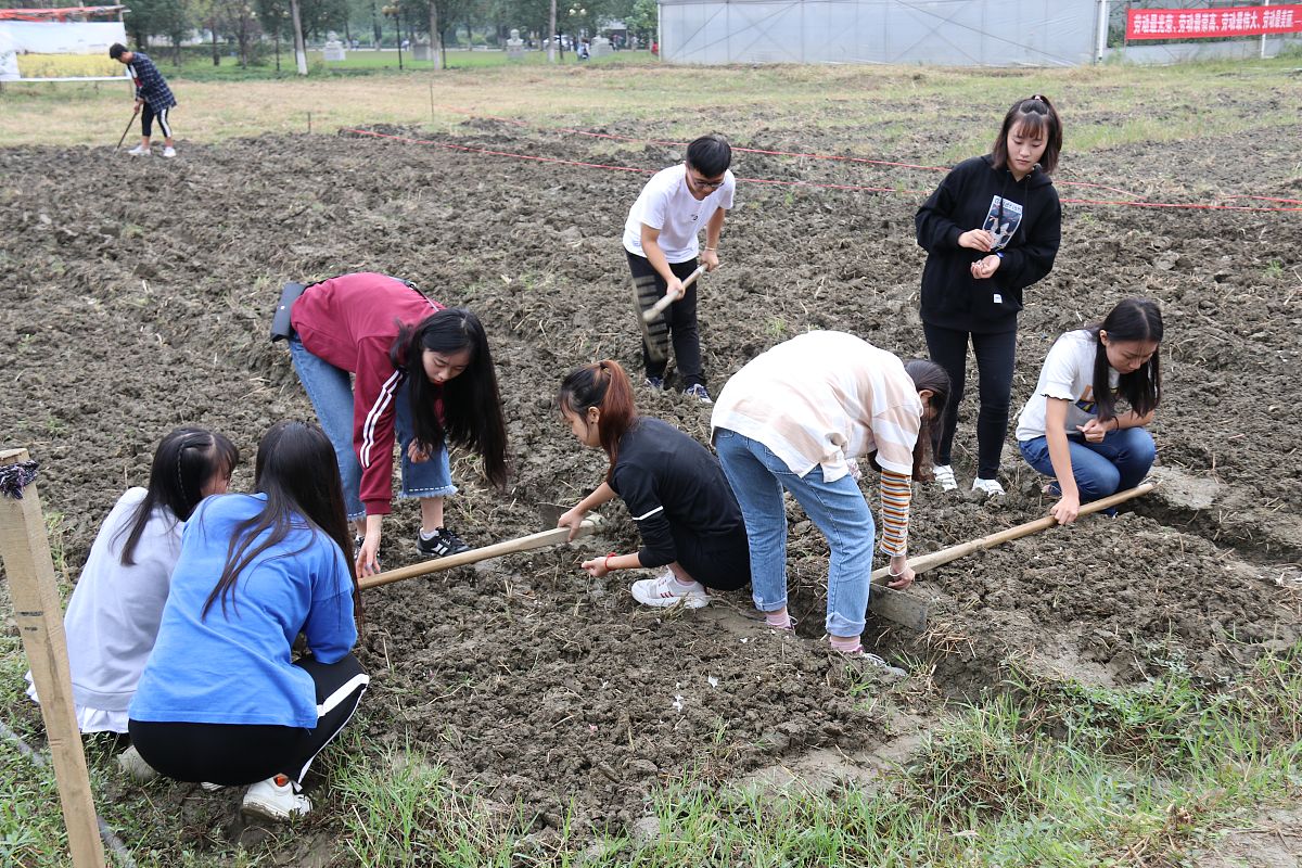 假如我是一个大学生结合劳动精神的内涵分享我成长过程中记忆深刻的一段劳动经历。