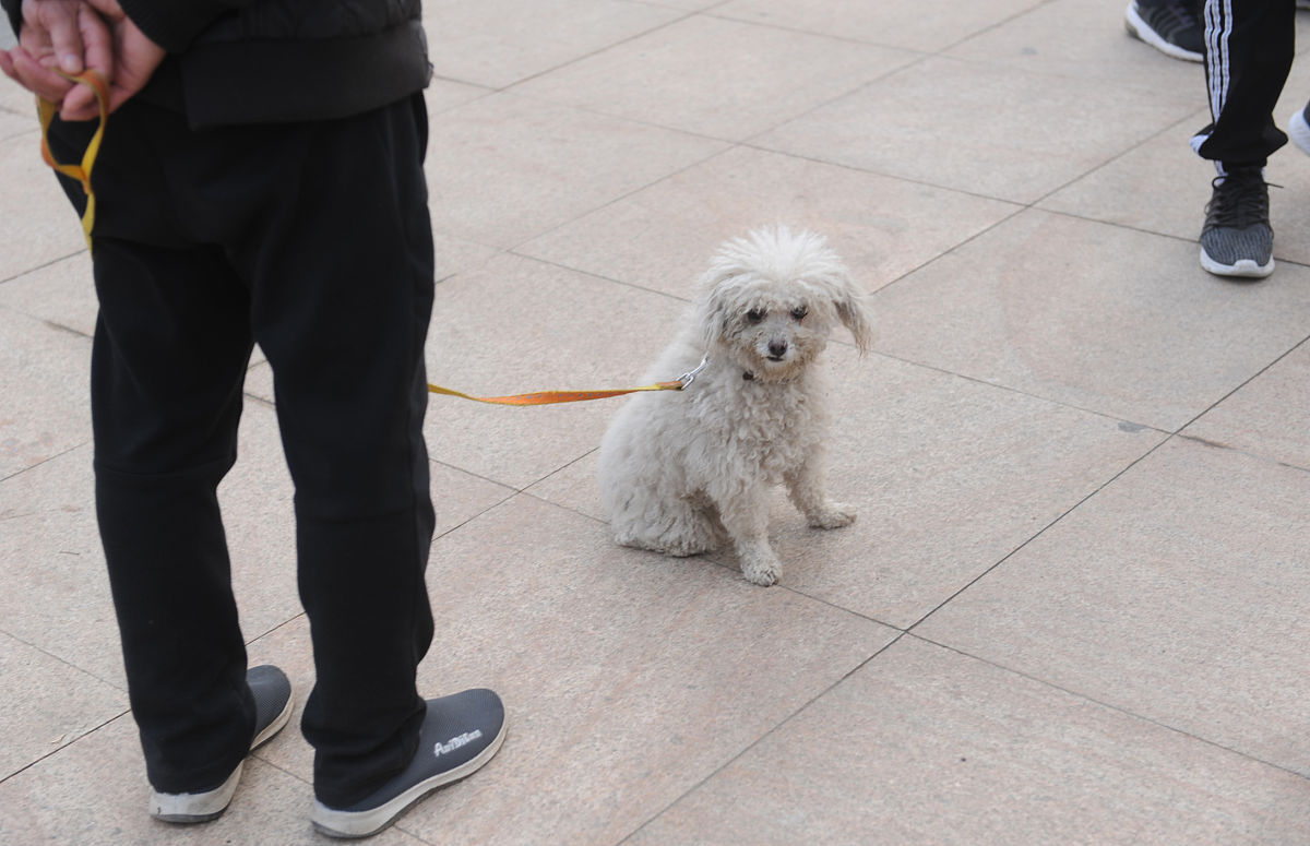 非常欢乐的微头条