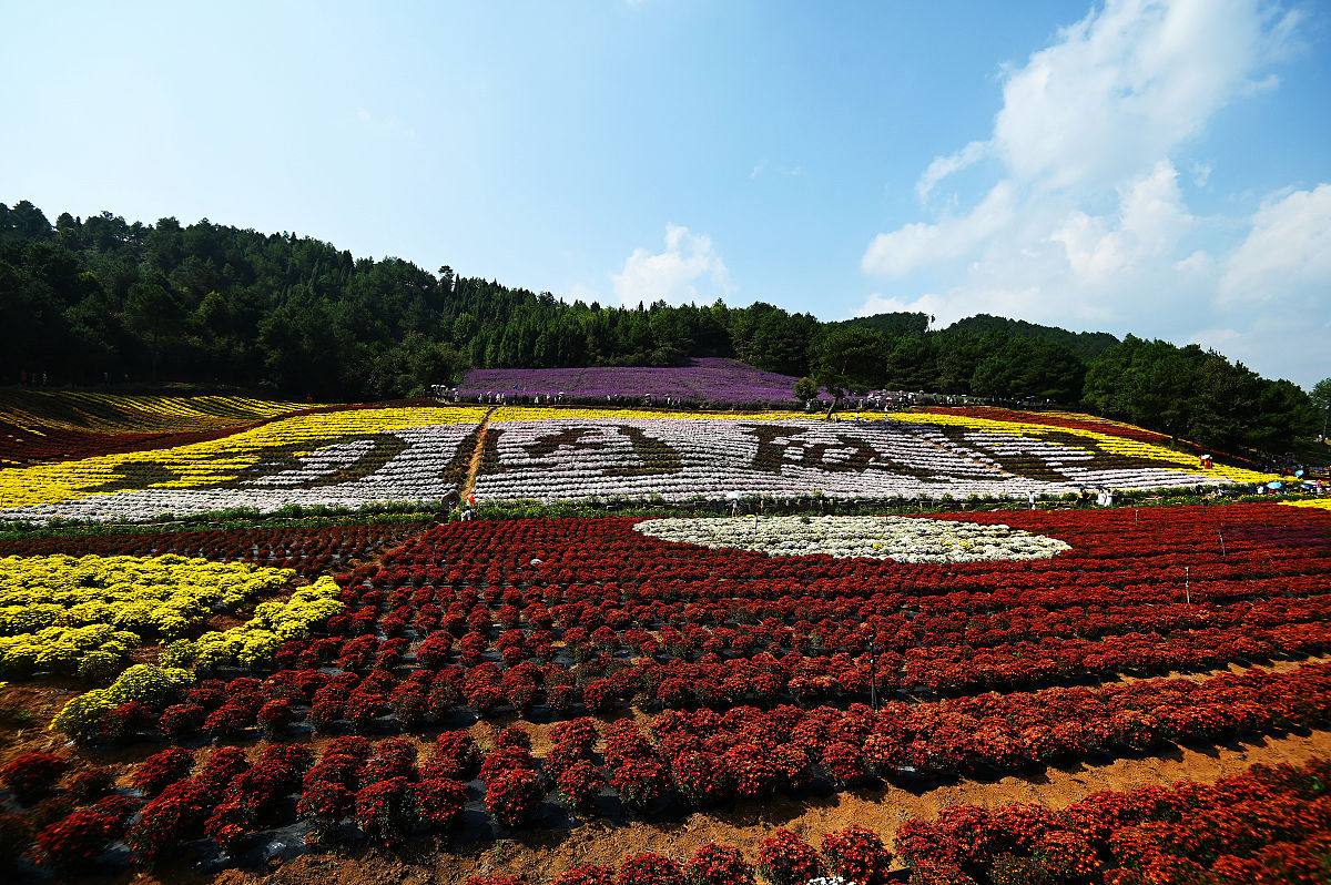 2019年麻江县中等职业技术学校的招生简章