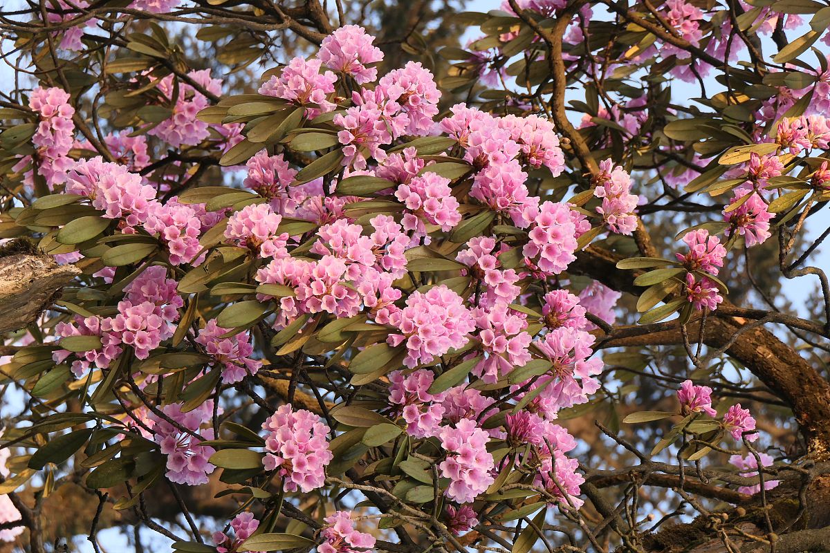 四川能投技工学校2021年招生问答：报名流程、专业、学费等