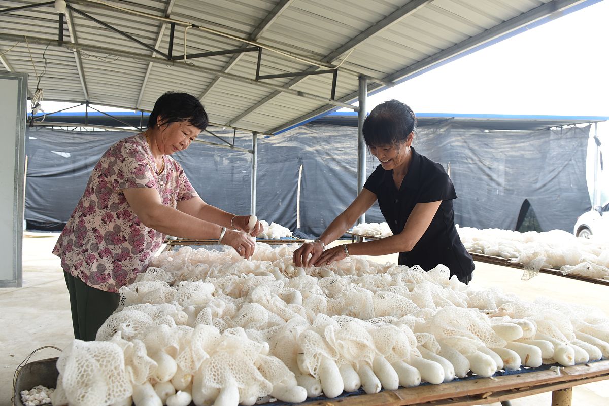 福建农业职业技术学院食品质量与安全专业好就业吗