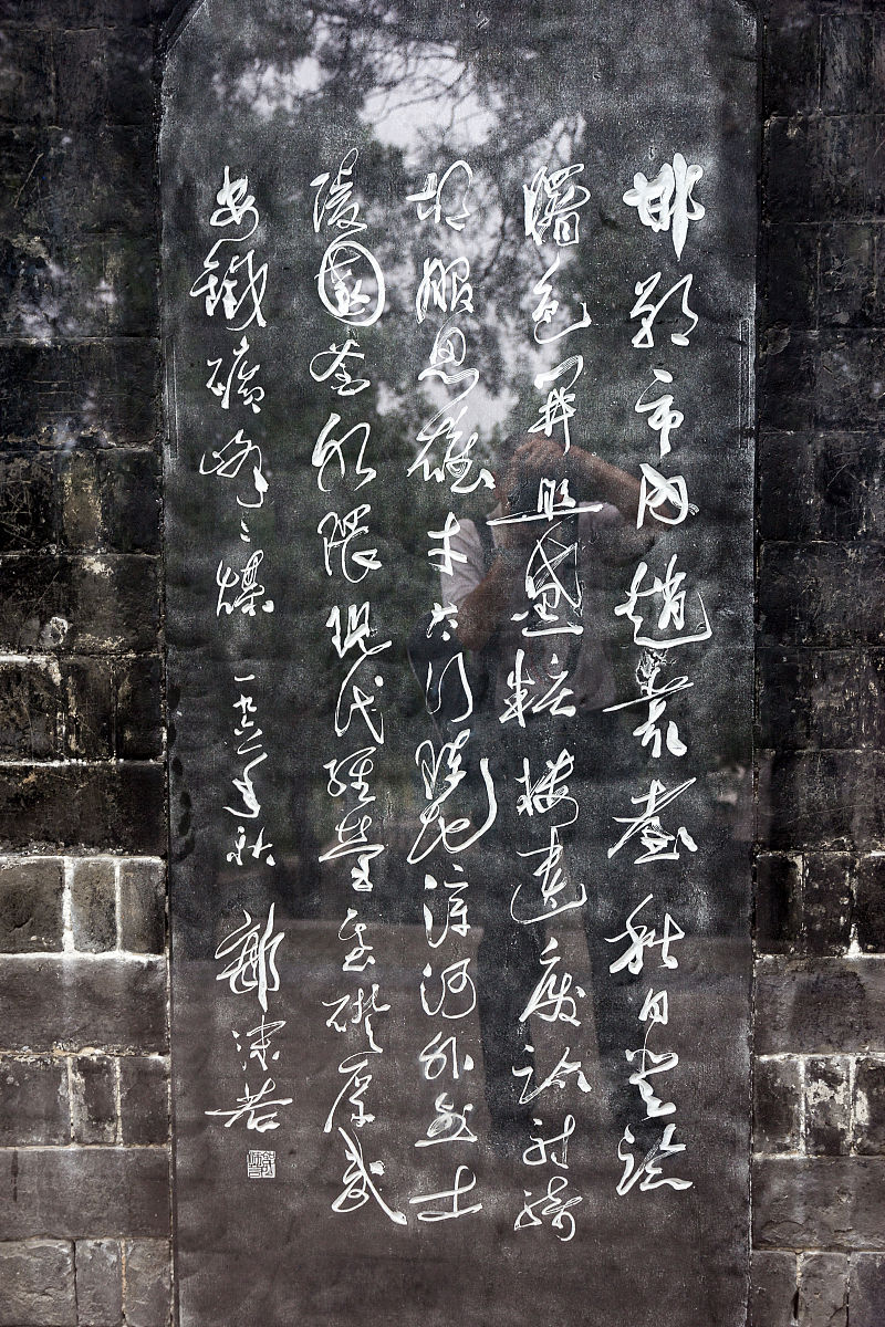 用中文写本场讲座的读后感600字不要抄原文： 讲座内容：2020年11月2日傍晚18：30《百家讲坛》著名主讲人、南京大学文学院莫砺锋教授莅临我校人文大讲堂为同学们带来了主题为千古风流苏东坡的演讲。本场讲座是新生文化季活动之一由共青团东南大学委员会、东南大学文化素质教育中心联合主办东南大学自动化学院团委承办。片片秋枫落远道万千秋色染黄天。料峭秋风、惊秋凉露亦阻挡不了东大学子们前来赴这一场与东坡居士