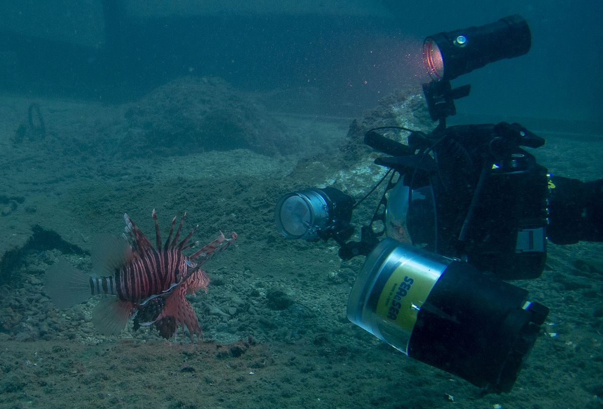 Sub-Bottom Profiler用处