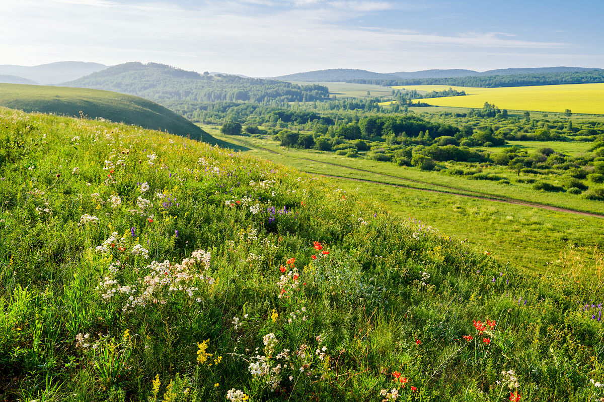 陕西蓝天民航技术学院铁路轨道交通安检怎么样？招生条件有哪些