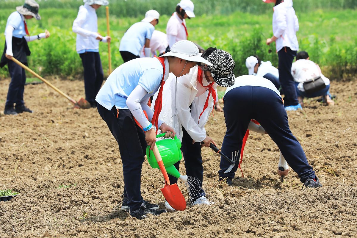 劳动教育的意义、实践与优化：培养学生综合素质的关键