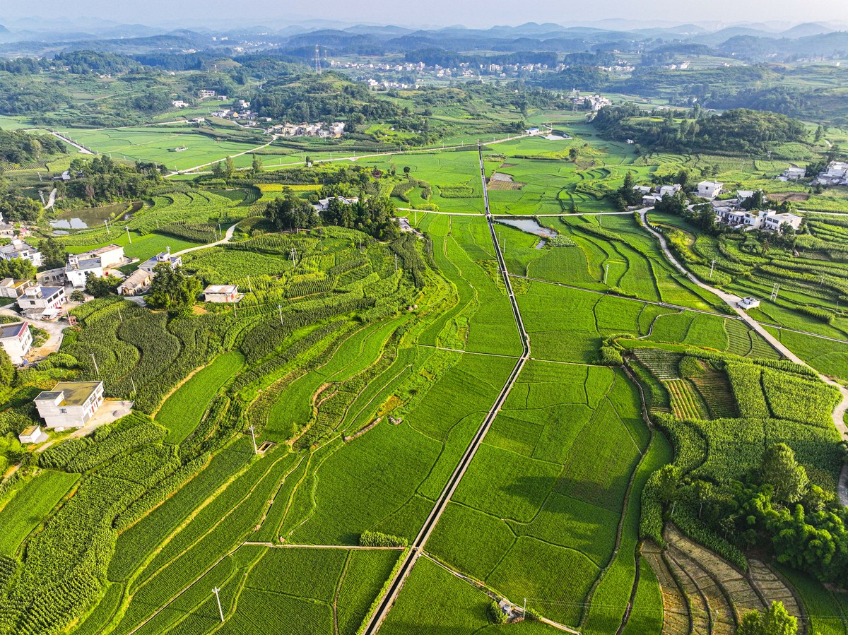 水土保持在农业可持续发展中的重要作用：综述