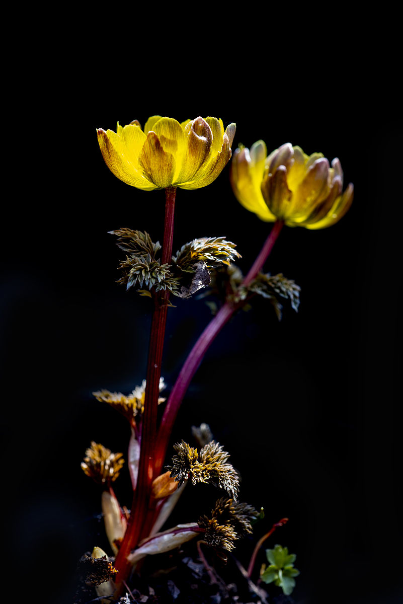 2020吉林轻工业学校招生简章