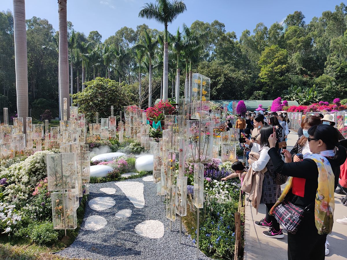 得丘园：潮流网红区域、花园与哲学的交汇，探索数字生长艺术