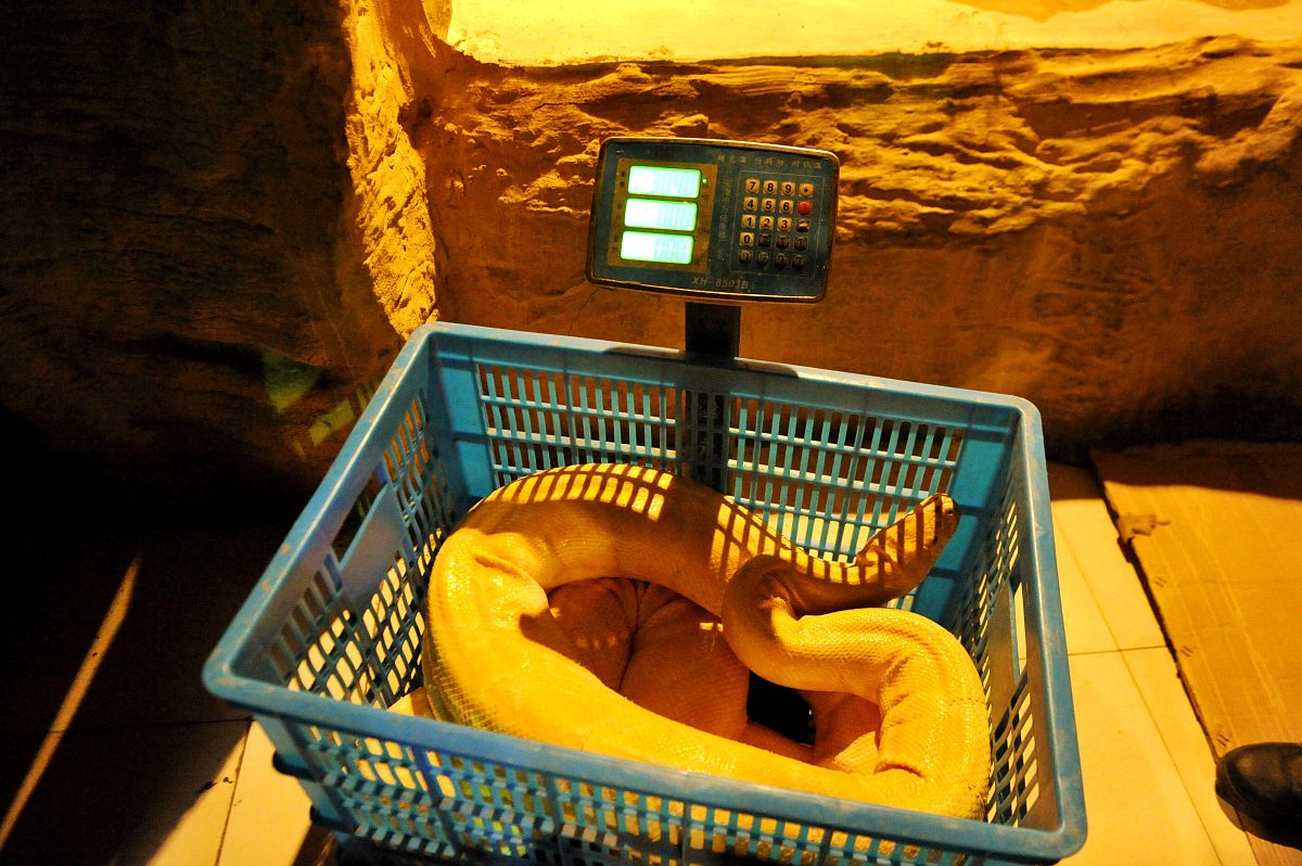 山东畜牧兽医职业学院野生动物资源保护与利用专业如何好学吗