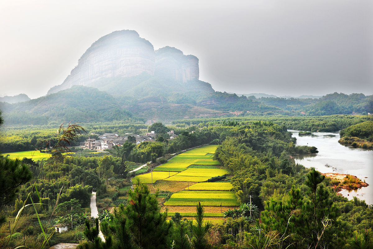 丹霞山野生植物辨认大赛推文预热活动喜欢的植物投票报名 1000字