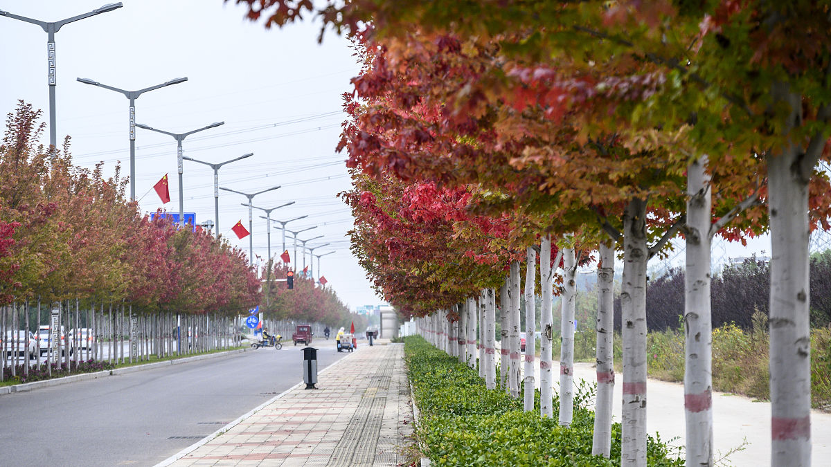宁海技工学校2021年招生条件 - 培养技能人才，成就你的职业梦想