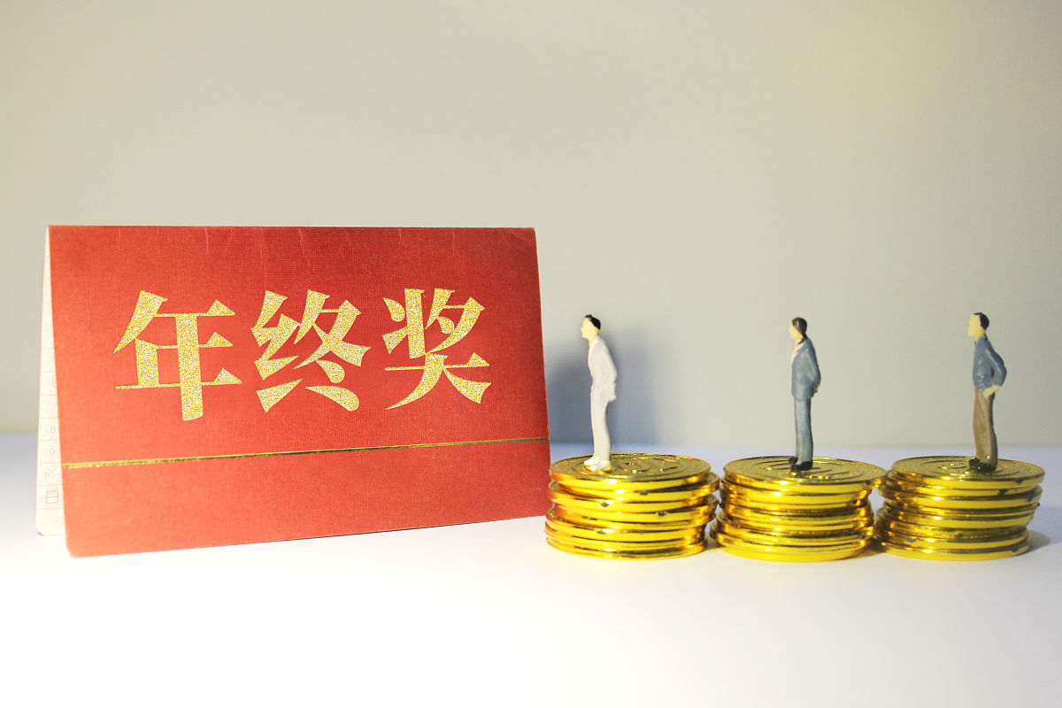 业绩奖金是什么意思_词语业绩奖金的意思