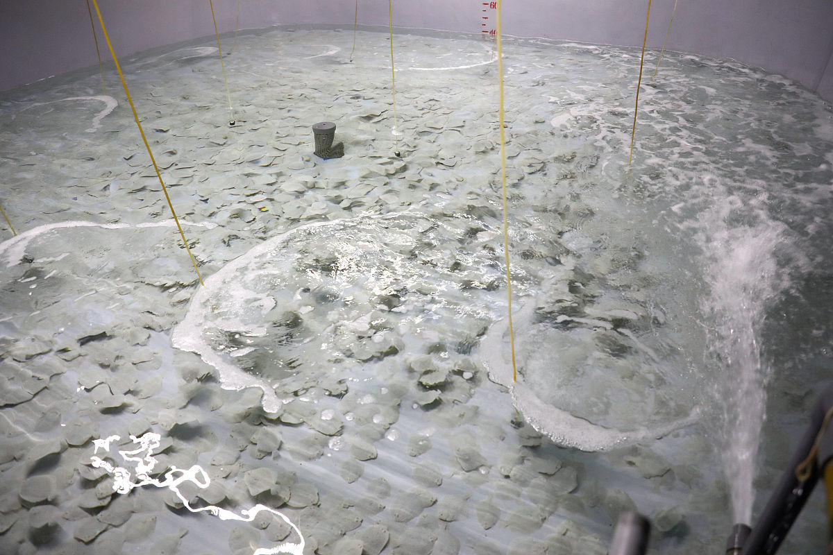 以三文鱼的生命周期为主题写一段300字左右的论文文段