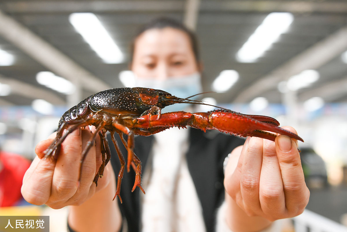 小龙虾死后多久不能吃？安全食用指南