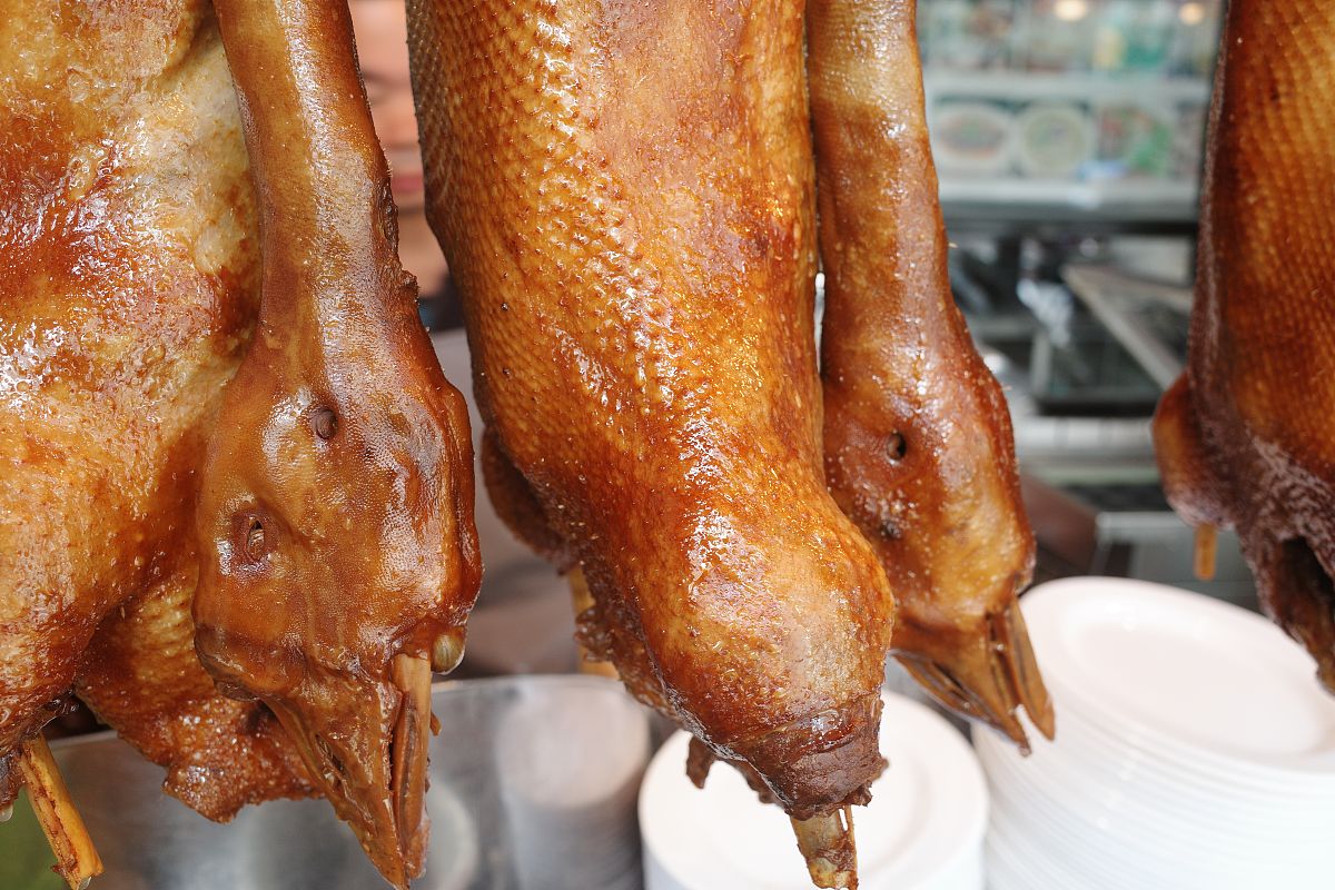 帮忙生成一篇小红书文案店铺名：功夫卤鹅吃的是潮汕卤鹅主题：山猪男友吃了都说好！