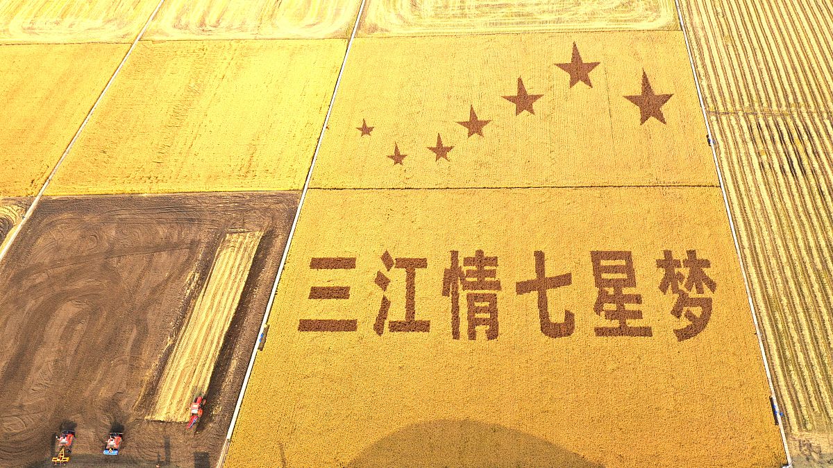 黑龙江农垦职业学院会计专业优势解读：就业前景怎么样？