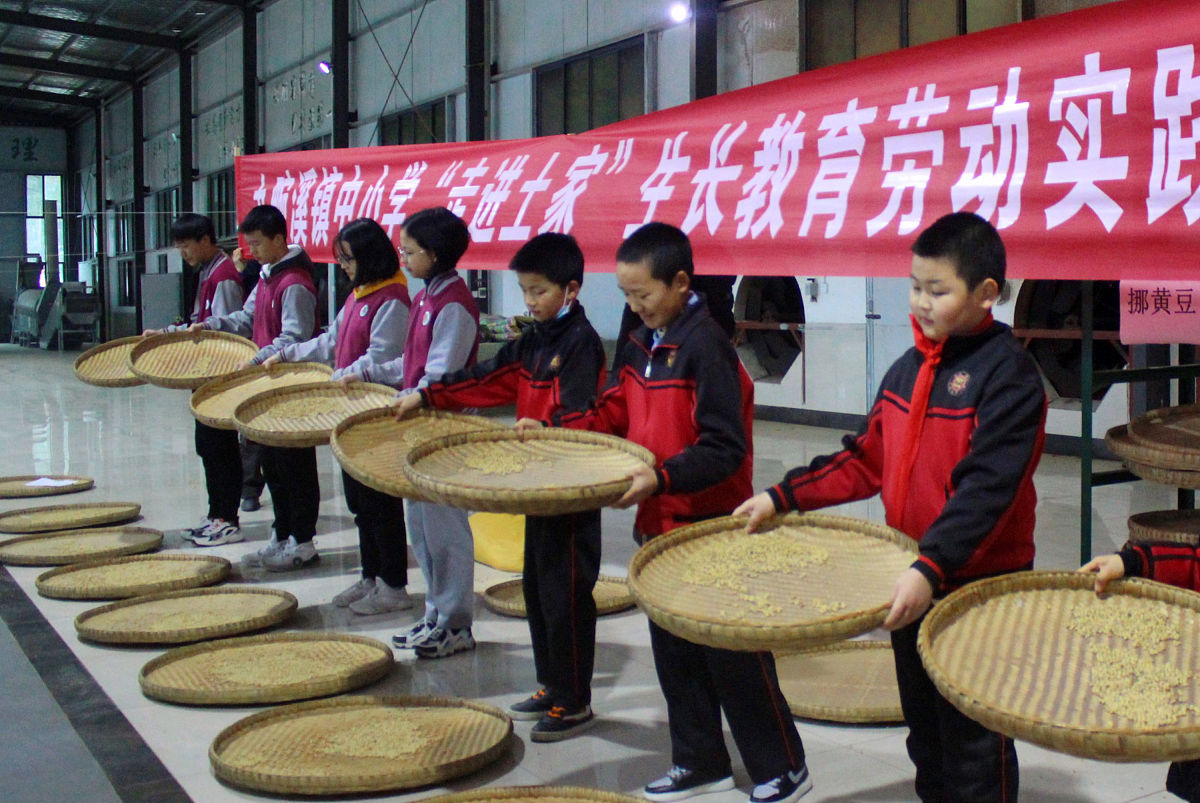 劳动教育心得体会：培养学生综合能力的关键