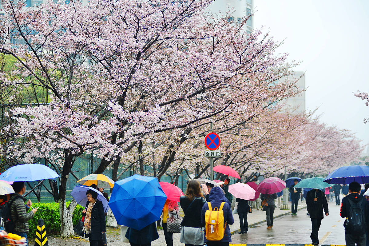 济南电子机械工程学校就业情况深度分析:机遇与挑战并存 济南电子机械工程学校就业情况深度分析:机遇与挑战并存