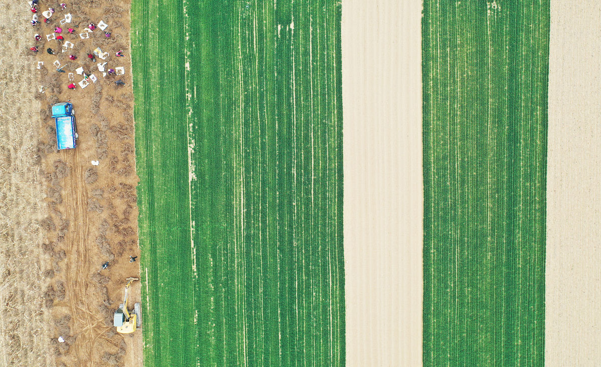 安徽工商职业学院金融管理与实务专业怎么样？优势、劣势及发展方向分析