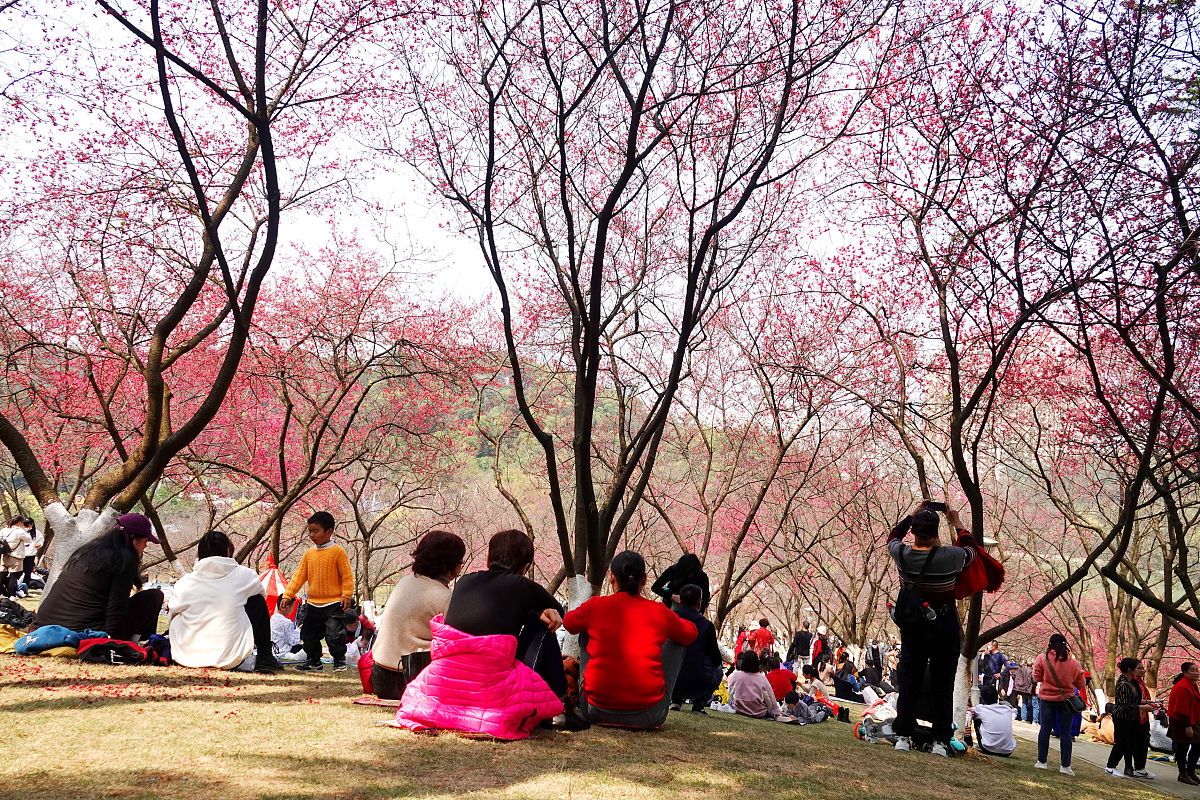 南宁卫校大专学校推荐 | 2022年优秀院校盘点