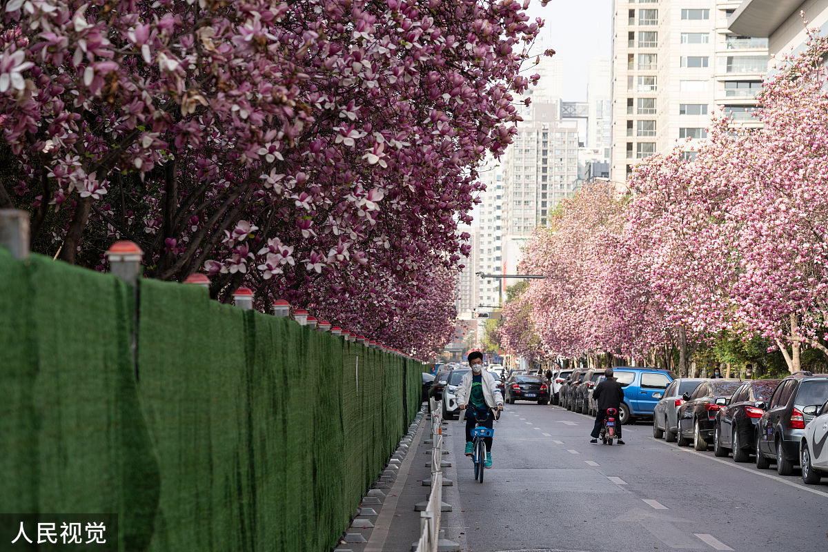 西安高新技师学院地址在哪里乘车路线怎么走好麽