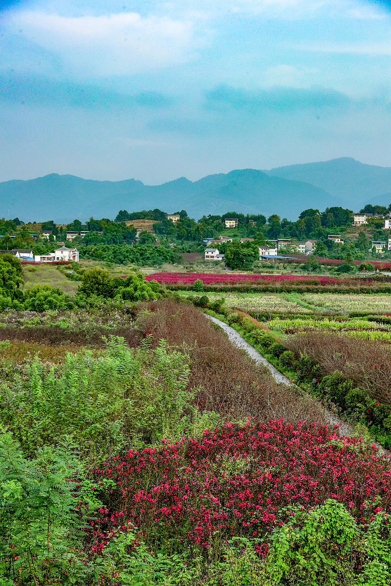 四川中等职业教育发展趋势：2021年重点方向