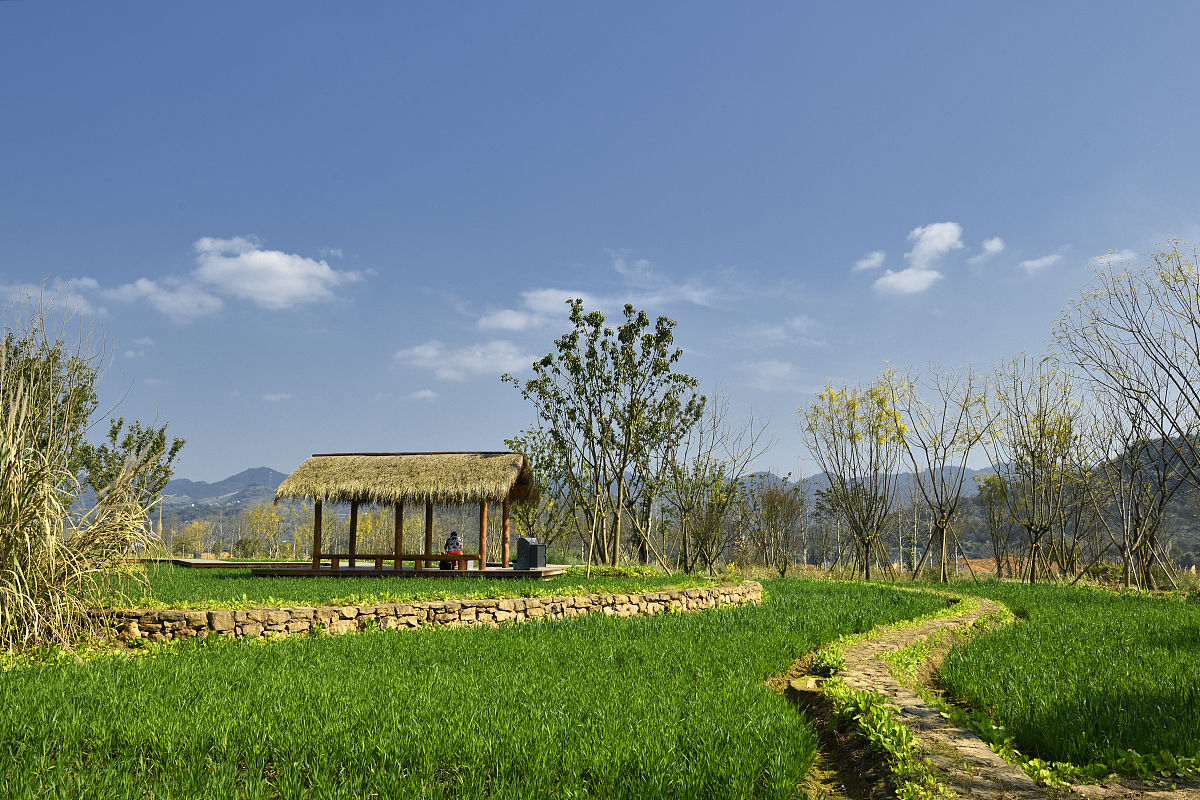 请列举近农村建设景区化的新闻报道并分别总结每篇文章的主要内容