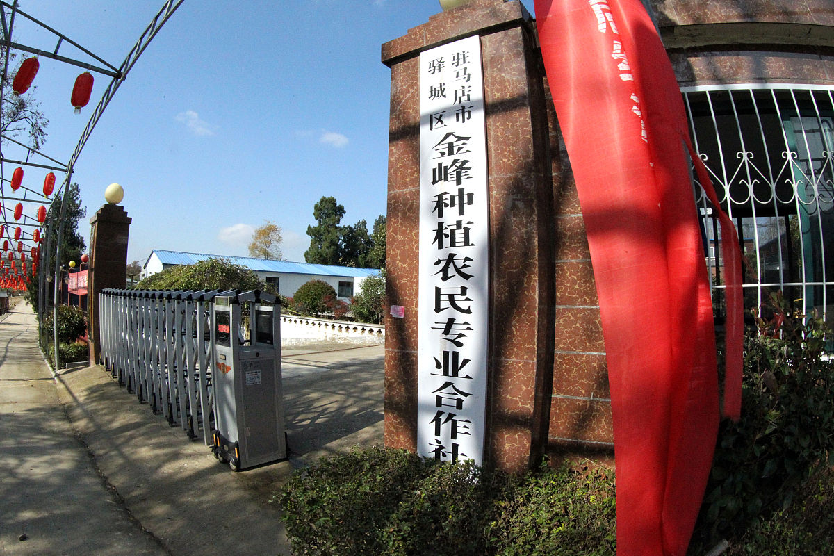 校外实践教学基地建设难题：资金、场地、合作与管理