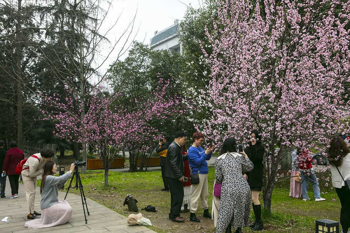 武汉大学珞珈学院电子商务专业怎么样