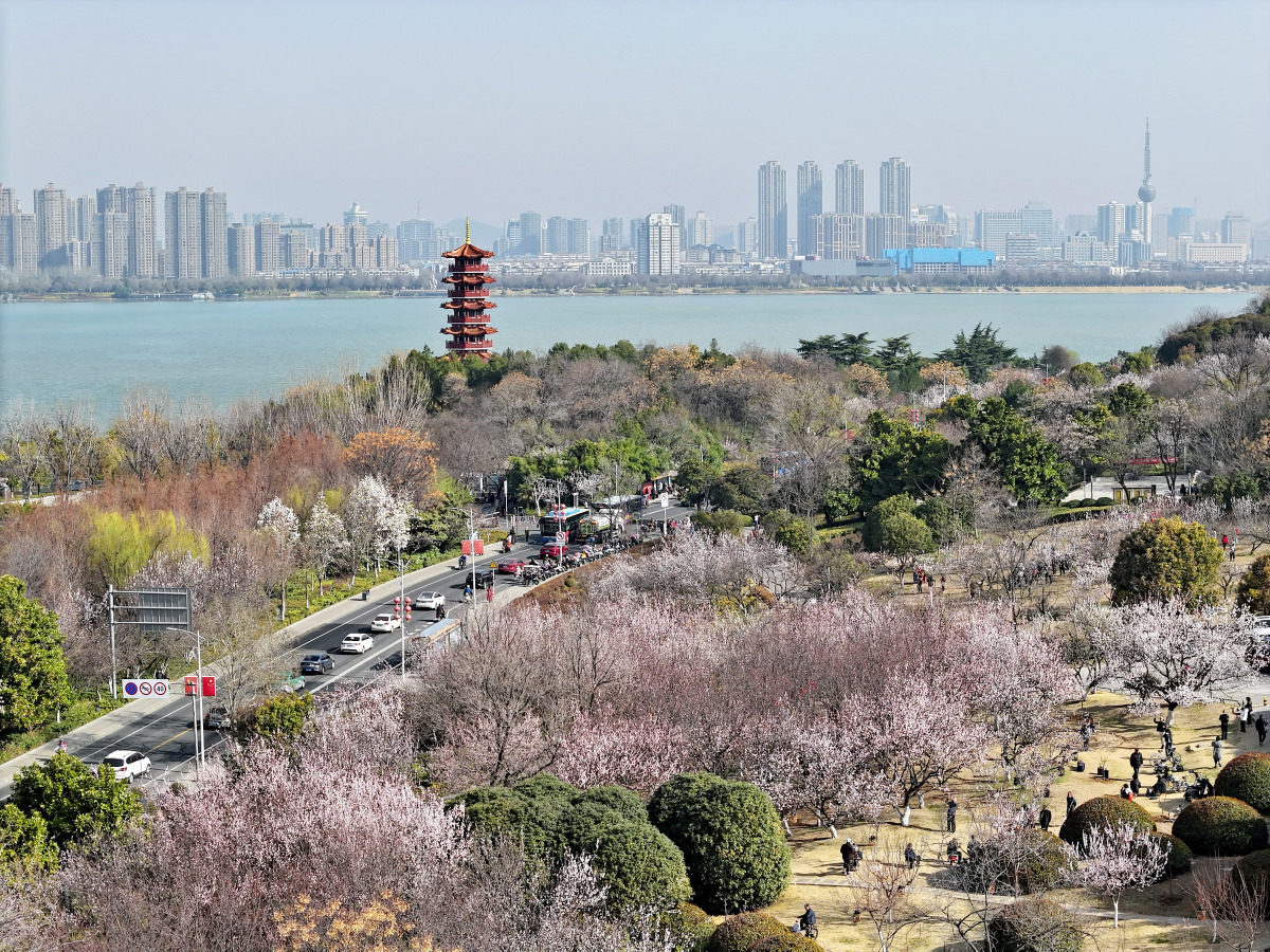 徐州,这座历史悠久的城市,不仅自身魅力四溢,更以其周边旅游城市的