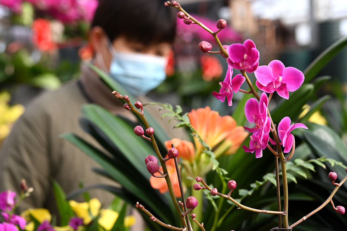 邯郸2022年卫校中专升全日制大专-好麽