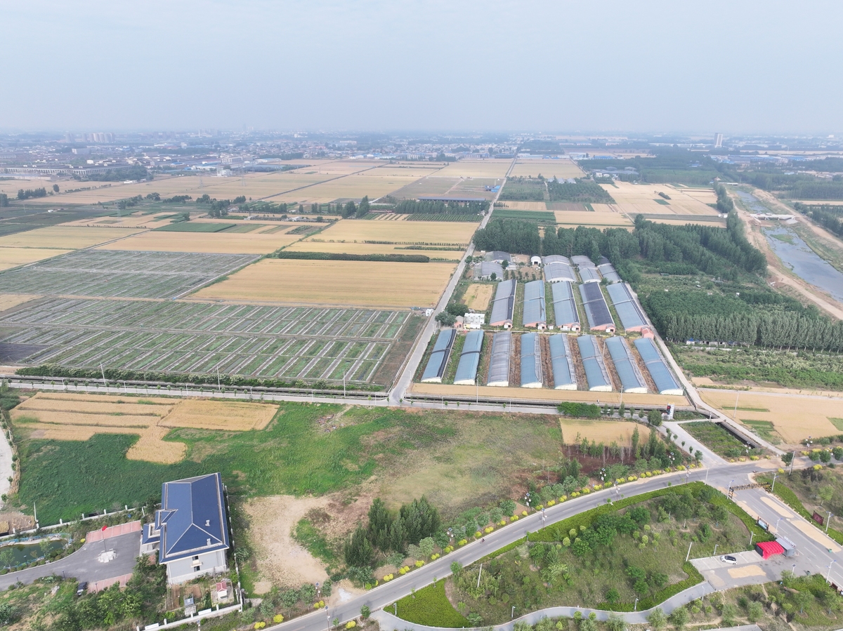 菏泽清菏园:以农业为主,推动当地产业升级 菏泽清菏园:以农业为主,推动当地产业升级