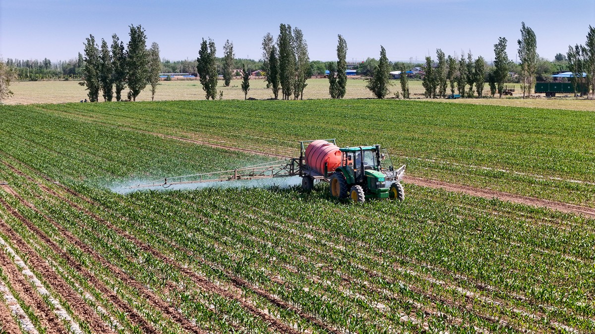 盐碱地田间育种与专用机械测试验证场建设进展