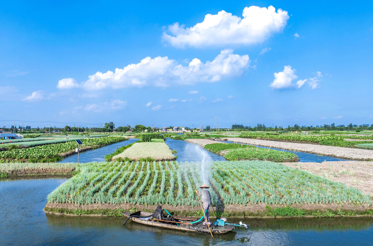 农、林、牧、渔业可以用于哪些项目