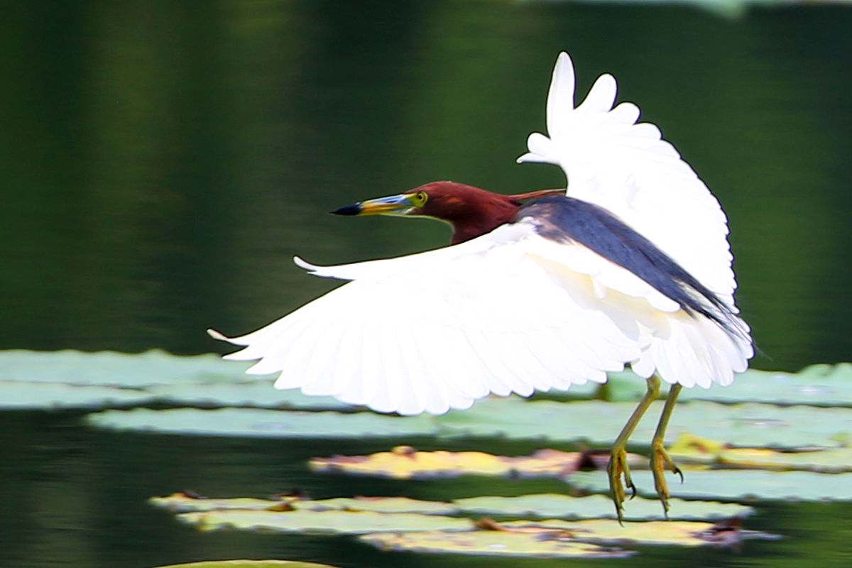 昆明2021年好一点的卫校大专学校