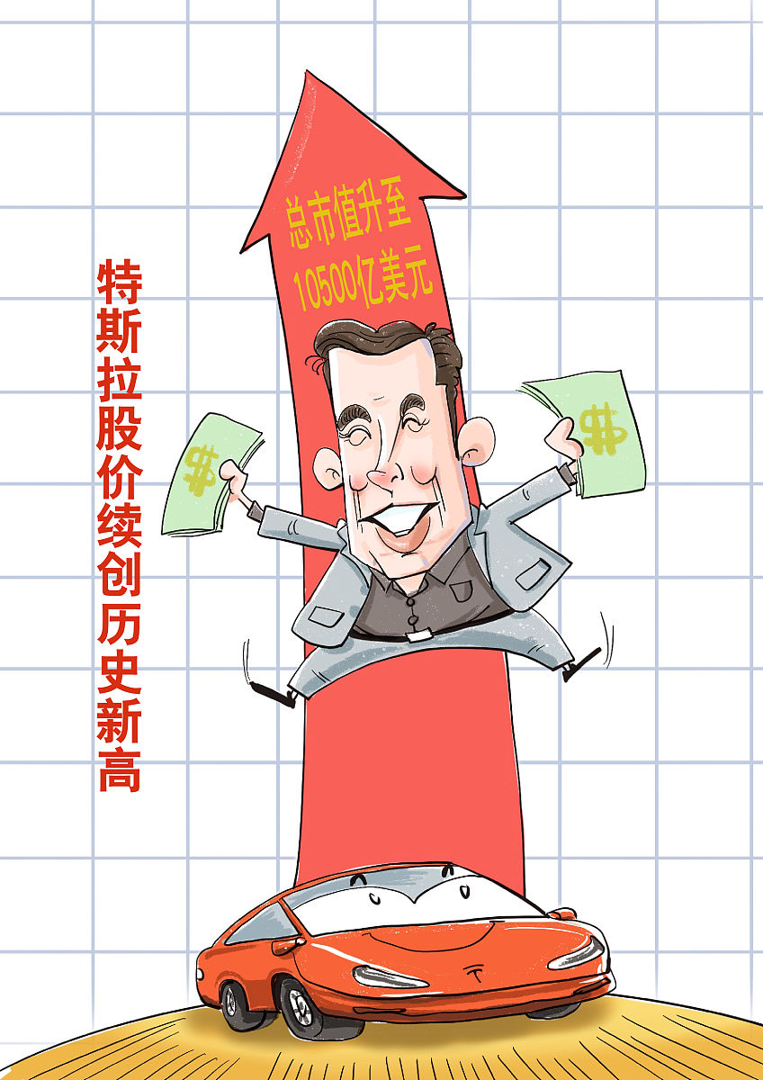 股票市场中的羊群效应：特斯拉案例分析