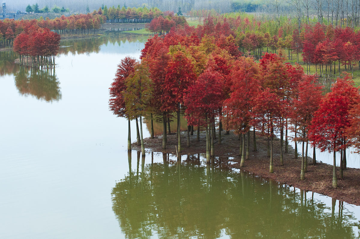 江苏省盱眙中等专业学校2021年招生简章